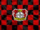 Bayer Leverkusen FC